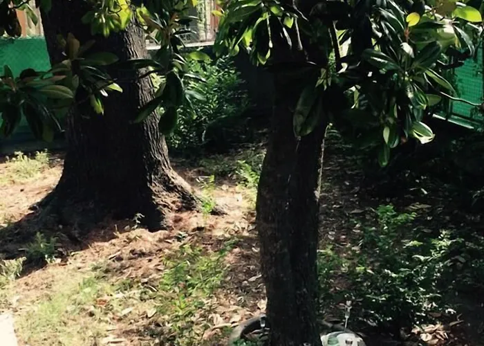 לינה וארוחת בוקר R&b La בולוניה