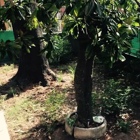 Bed & Breakfast R&b La Boloňa